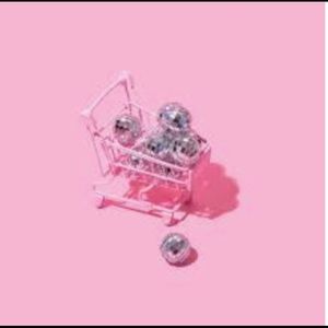 Meet your Posher, Tara